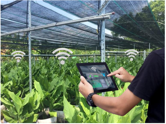 運用智慧農場管理系統管理栽種技術，有效提升農民經濟效益封面圖